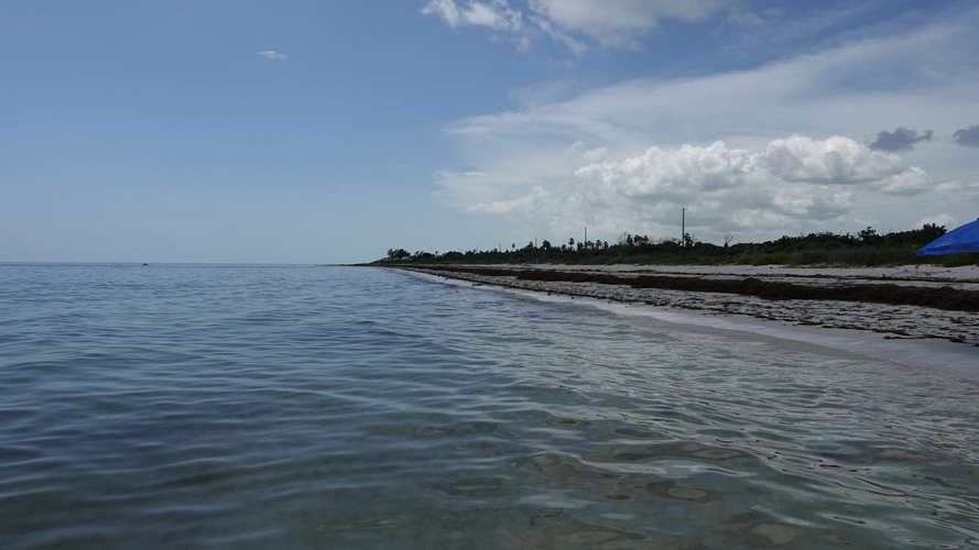 MIA_2023-08-11 14-18-23_RX_05873